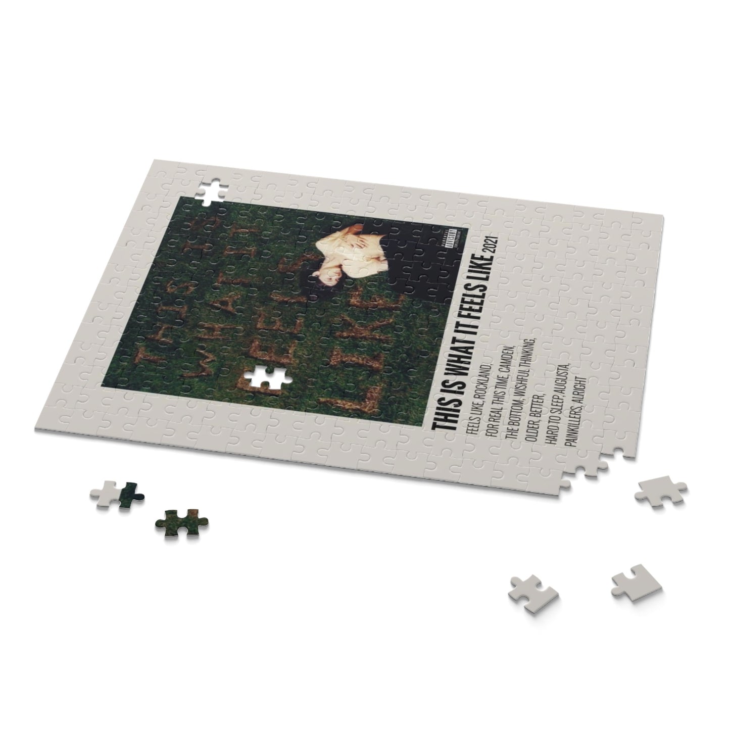 "This Is What It Feels Like" Album Puzzle (Clairo)